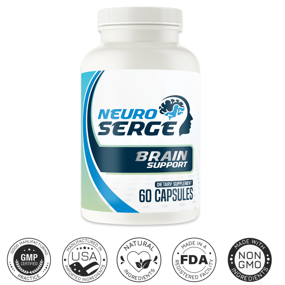 Neuro Serge Official Evaluation